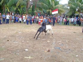 Puasa Tetap Merdeka