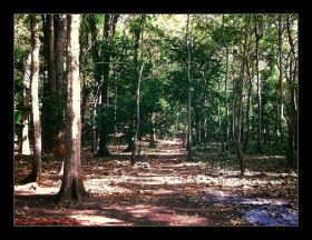 Taman Wisata Alam Pangandaran Dalam Lensa