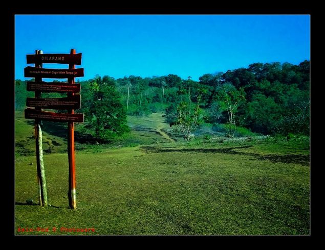 Taman Wisata Alam Pangandaran Dalam Lensa