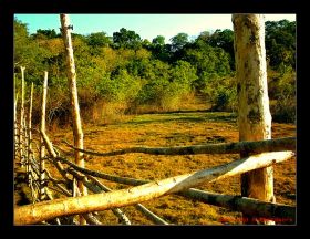 Taman Wisata Alam Pangandaran Dalam Lensa