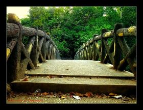 Taman Wisata Alam Pangandaran Dalam Lensa