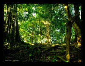 Taman Wisata Alam Pangandaran Dalam Lensa