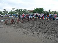 Pangandaran Baywatch Competition 2010