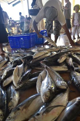 Suasana Pelelangan Ikan Pangandaran