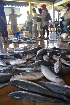 Suasana Pelelangan Ikan Pangandaran