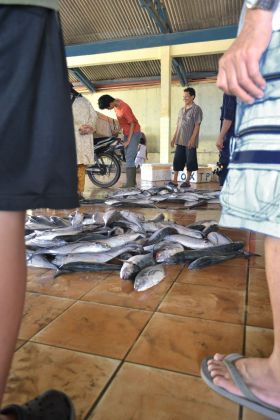 Suasana Pelelangan Ikan Pangandaran