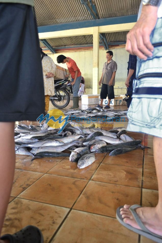 Suasana Pelelangan Ikan Pangandaran