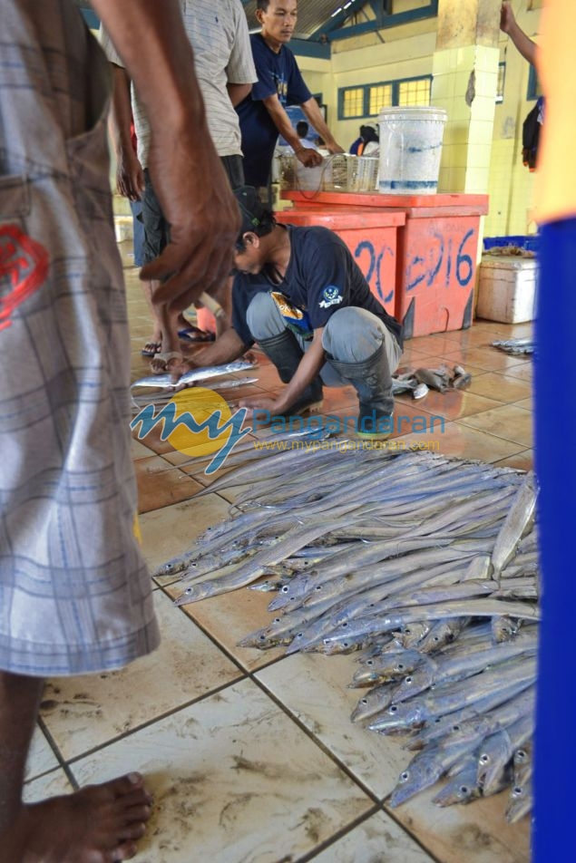 Suasana Pelelangan Ikan Pangandaran