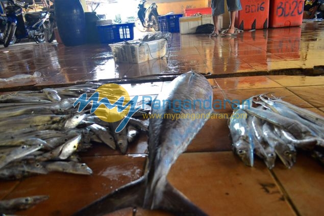 Suasana Pelelangan Ikan Pangandaran