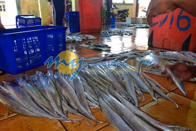 Suasana Pelelangan Ikan Pangandaran