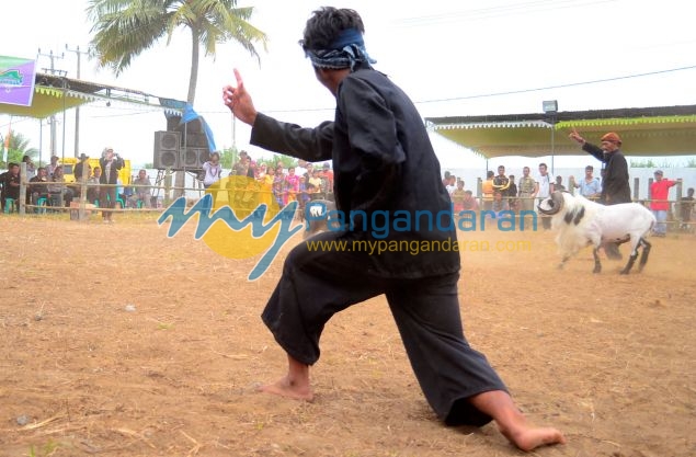 Kontes Ketangkasan Domba Buka Gelaran Kontes Ternak Tingkat Provinsi 2012