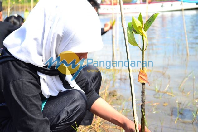 Ratusan Siswa Antusias Mengikuti Aksi Tanam Pohon