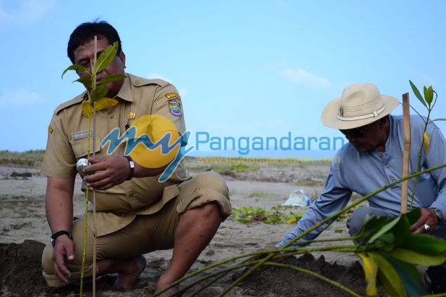 Ratusan Siswa Antusias Mengikuti Aksi Tanam Pohon