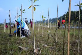 Ratusan Siswa Antusias Mengikuti Aksi Tanam Pohon