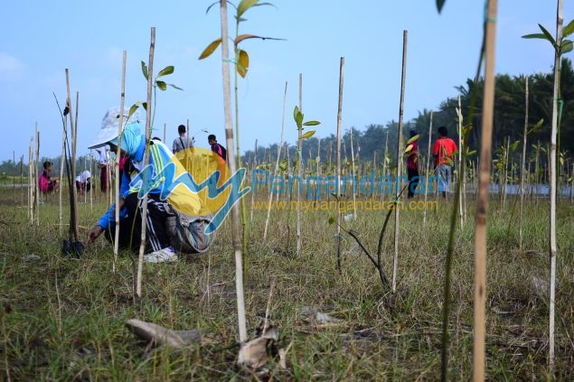 Ratusan Siswa Antusias Mengikuti Aksi Tanam Pohon