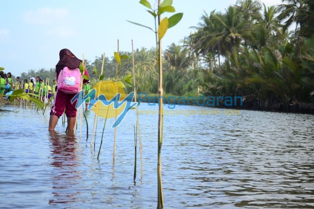 Ratusan Siswa Antusias Mengikuti Aksi Tanam Pohon