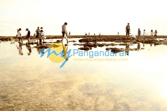 Galeri Photo Menikmati Sore di Pasir Putih Pangandaran