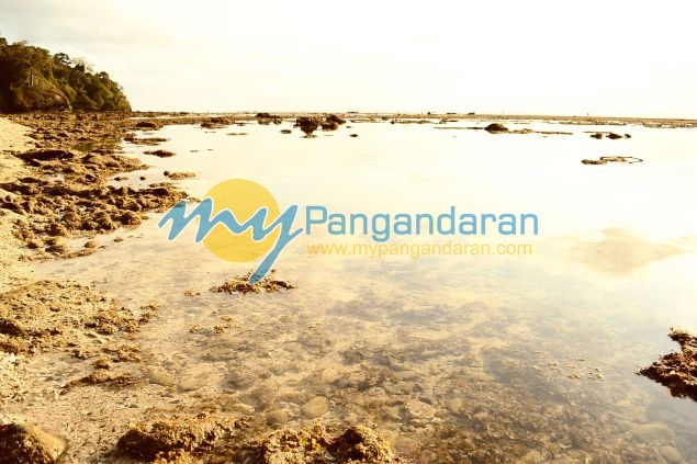 Galeri Photo Menikmati Sore di Pasir Putih Pangandaran