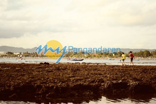 Galeri Photo Menikmati Sore di Pasir Putih Pangandaran