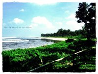 Indahnya Pantai Karapyak