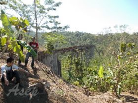 Menelusuri Jalur Kereta Banjar - Pangandaran - Cijulang Yang Telah Mati 