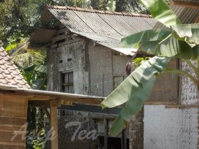 Menelusuri Jalur Kereta Banjar - Pangandaran - Cijulang Yang Telah Mati 