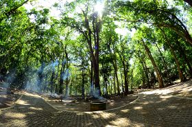 Taman Wisata Alam Pangandaran Dalam Lensa Part II