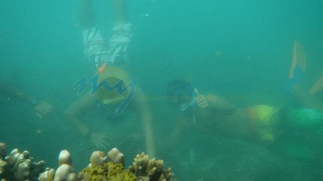 Wisata Snorkling, Menikmati Keindahan Bawah Laut Pangandaran