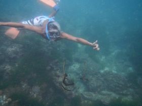 Wisata Snorkling, Menikmati Keindahan Bawah Laut Pangandaran