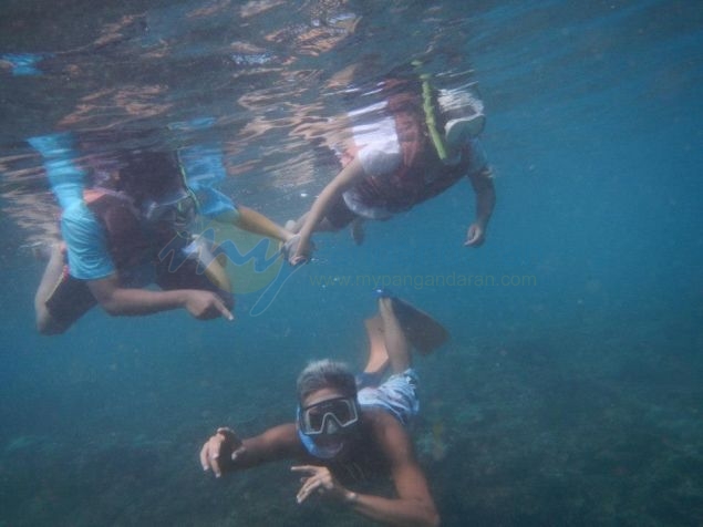 Wisata Snorkling, Menikmati Keindahan Bawah Laut Pangandaran