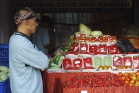 Pangandaran Fair Pameran UKM dan Agribisnis