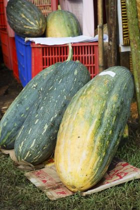 Pangandaran Fair Pameran UKM dan Agribisnis