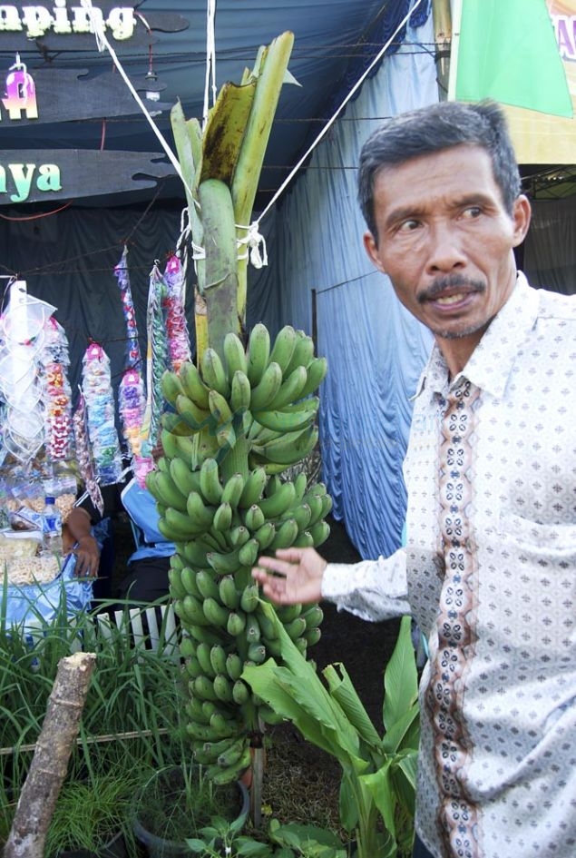 Pangandaran Fair Pameran UKM dan Agribisnis