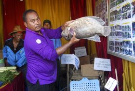 Pangandaran Fair Pameran UKM dan Agribisnis