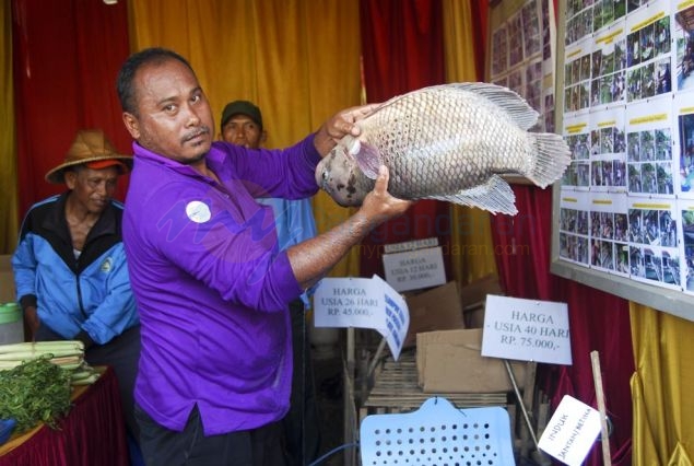 Pangandaran Fair Pameran UKM dan Agribisnis