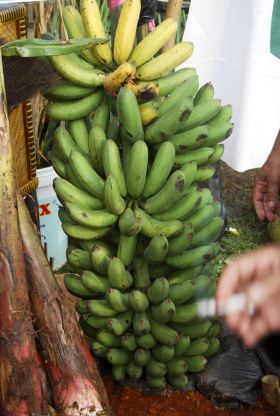 Pangandaran Fair Pameran UKM dan Agribisnis