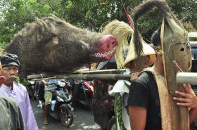 Karnaval dan Gelaran Budaya Meriahkan HUT ke 1 Kabupaten Pangandaran