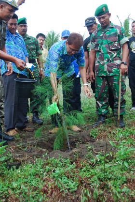 Penghijauan Kawasan Sempadan Pantai Barat Pangandaran