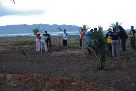 Penghijauan Kawasan Sempadan Pantai Barat Pangandaran