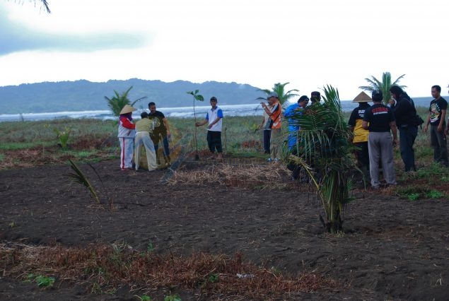 Penghijauan Kawasan Sempadan Pantai Barat Pangandaran