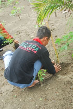 Penghijauan Kawasan Sempadan Pantai Barat Pangandaran