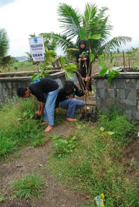 Penghijauan Kawasan Sempadan Pantai Barat Pangandaran