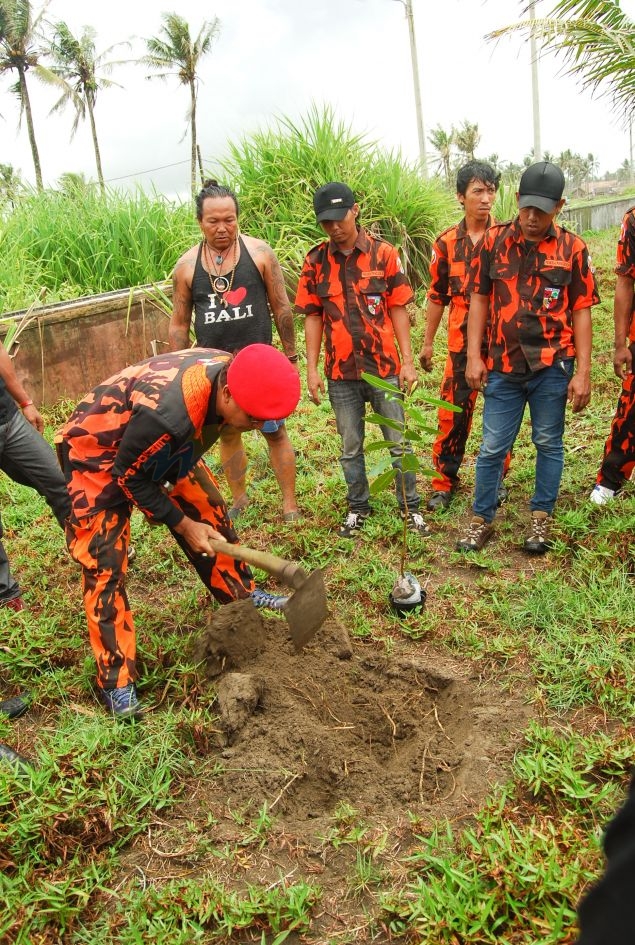 Penghijauan Kawasan Sempadan Pantai Barat Pangandaran