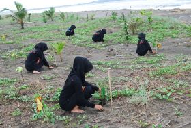 Penghijauan Kawasan Sempadan Pantai Barat Pangandaran