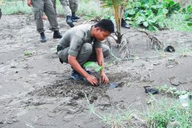 Penghijauan Kawasan Sempadan Pantai Barat Pangandaran 