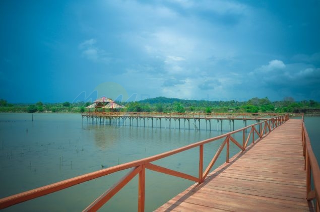 Wisata Hutan Mangrove Batukaras