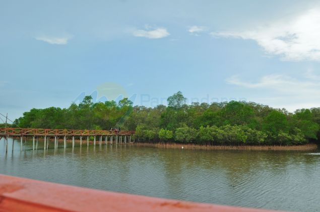 Wisata Hutan Mangrove Batukaras