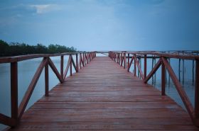 Wisata Hutan Mangrove Batukaras