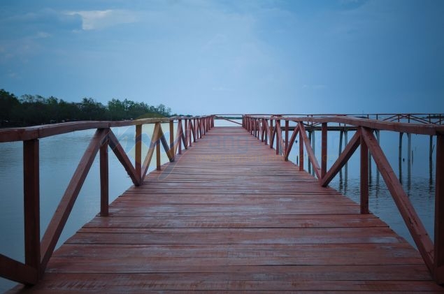 Wisata Hutan Mangrove Batukaras