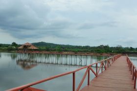 Wisata Hutan Mangrove Batukaras